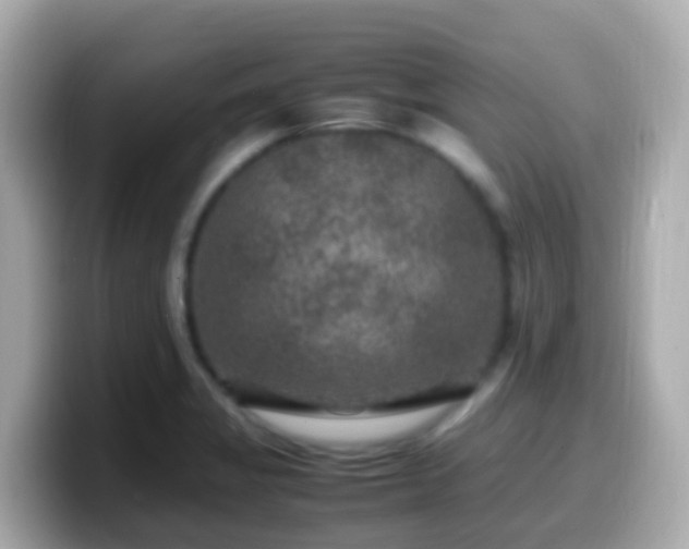 X0000099571325200805231524