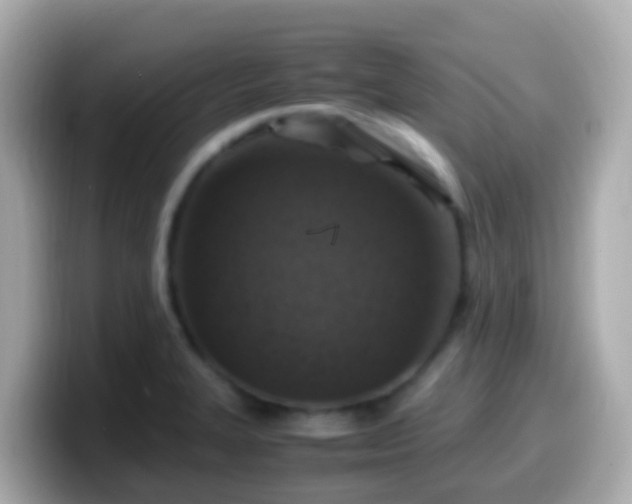 X0000099571327200805231524