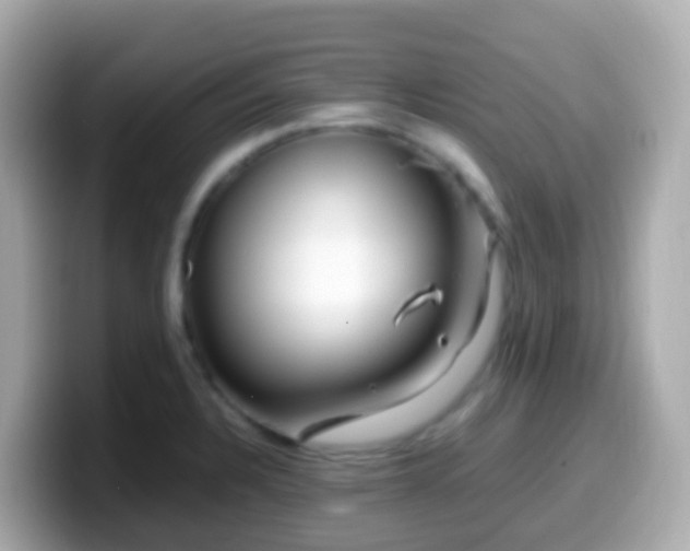 X0000099571328200805231524