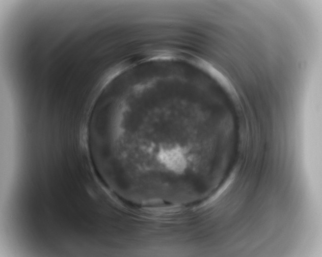 X0000099571329200805231524