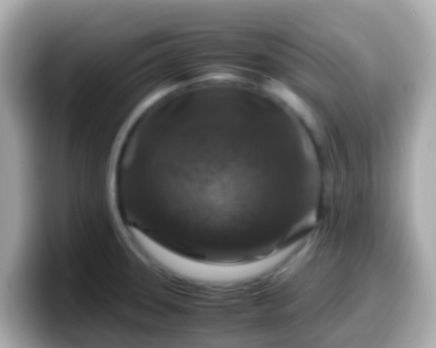 X0000099571331200805231524