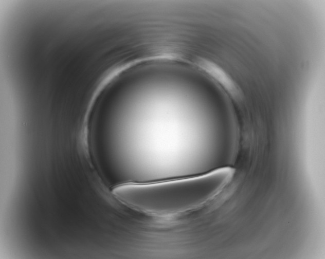 X0000099571332200805231524