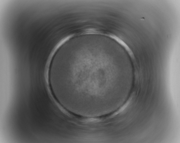 X0000099571333200805231524