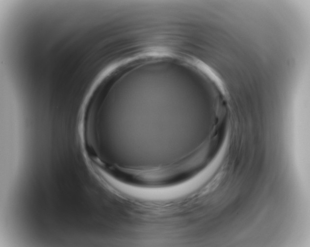 X0000099571334200805231524