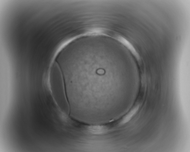 X0000099571336200805231524