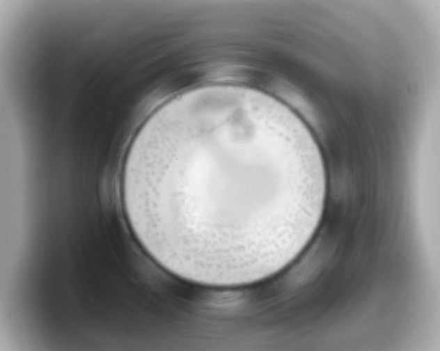 X0000099571338200805231524