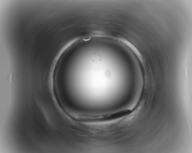 X0000099571341200805231524