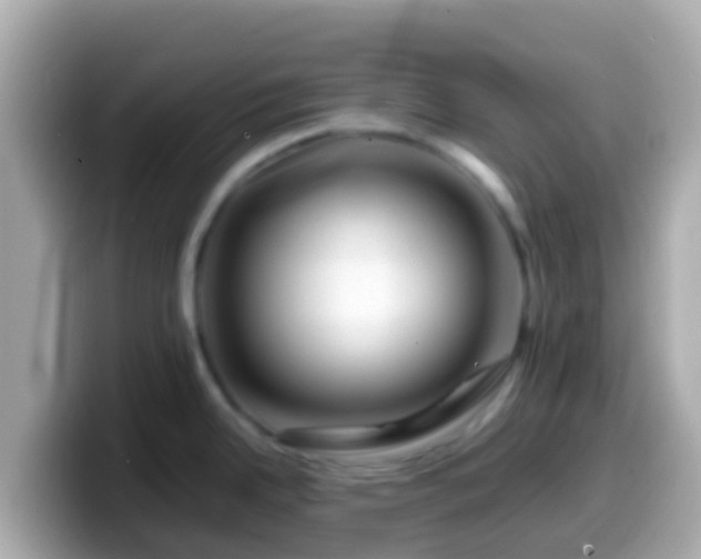 X0000099571342200805231524