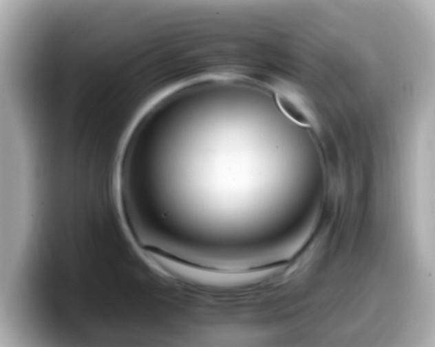 X0000099571343200805231524