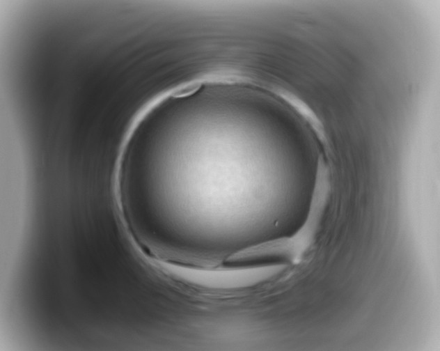 X0000099571344200805231524