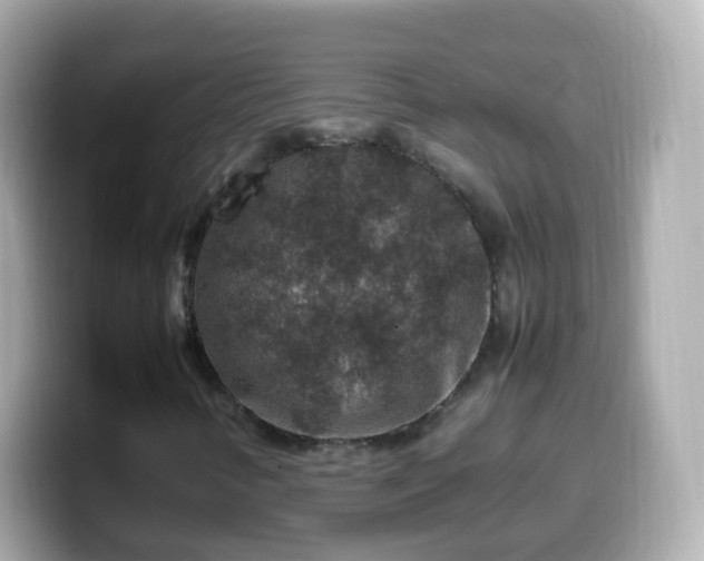 X0000099571346200805231524