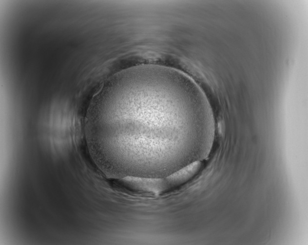 X0000099571347200805231524