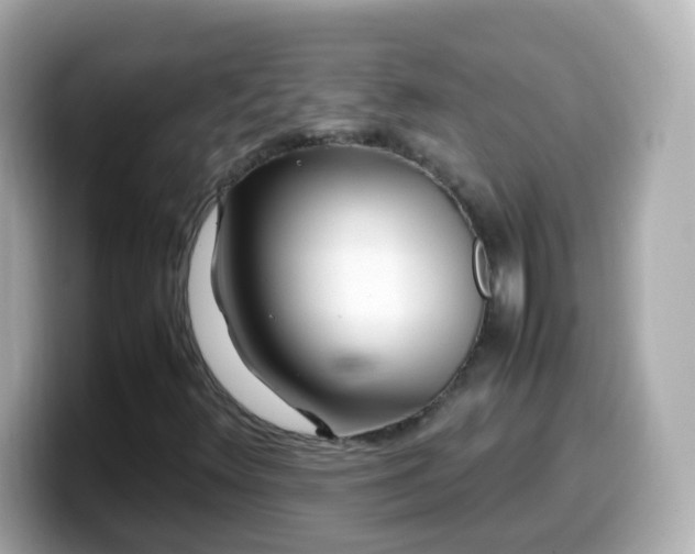 X0000099571348200805231523