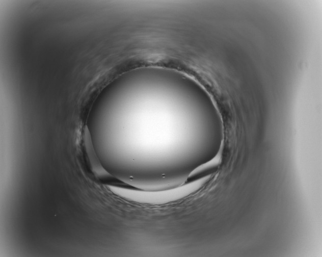 X0000099571349200805231523