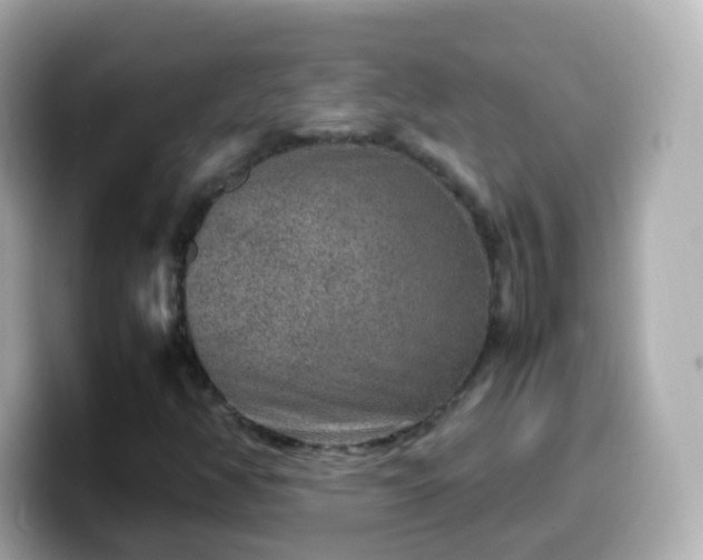 X0000099571350200805231523