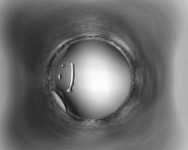 X0000099571352200805231523