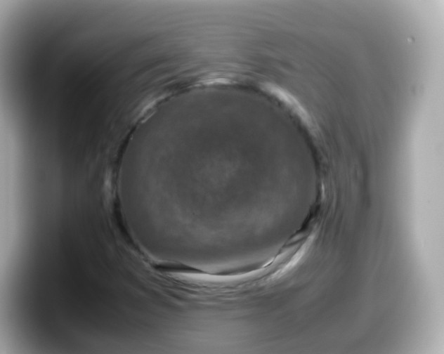 X0000099571353200805231523