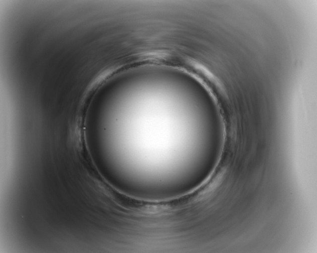 X0000099571354200805231523