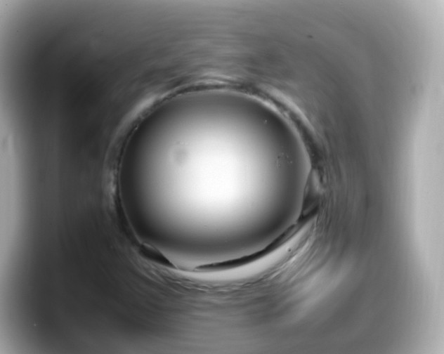 X0000099571355200805231523