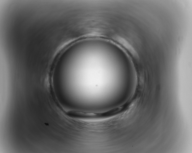 X0000099571356200805231523