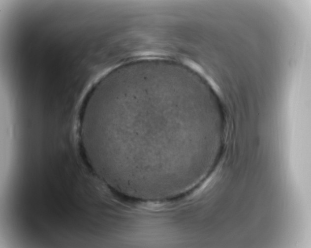 X0000099571357200805231523