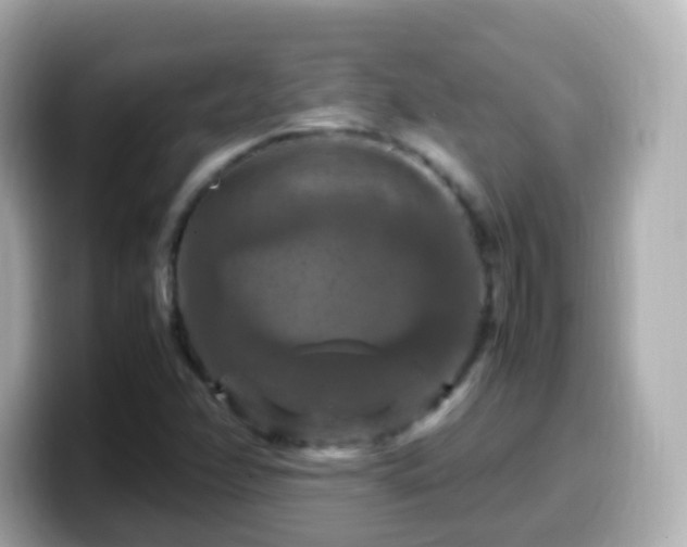 X0000099571358200805231523