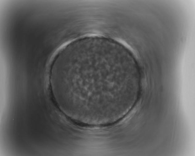 X0000099571359200805231523