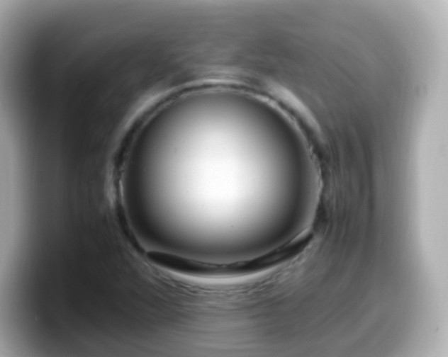 X0000099571360200805231523