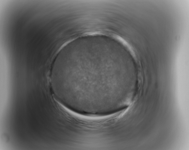 X0000099571361200805231523