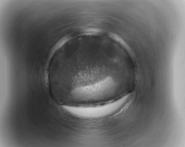 X0000099571362200805231523