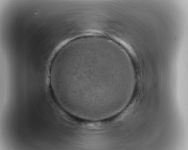 X0000099571363200805231523