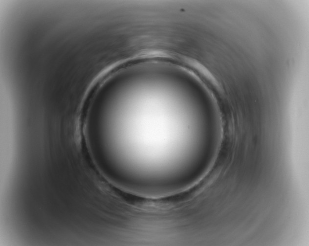 X0000099571364200805231523