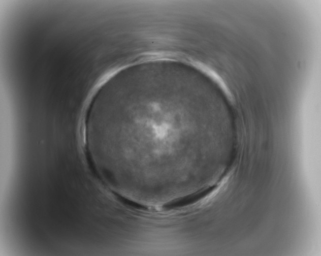 X0000099571365200805231523