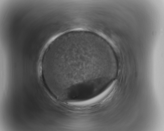 X0000099571367200805231523