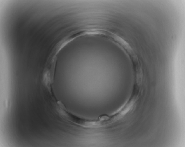 X0000099571369200805231523