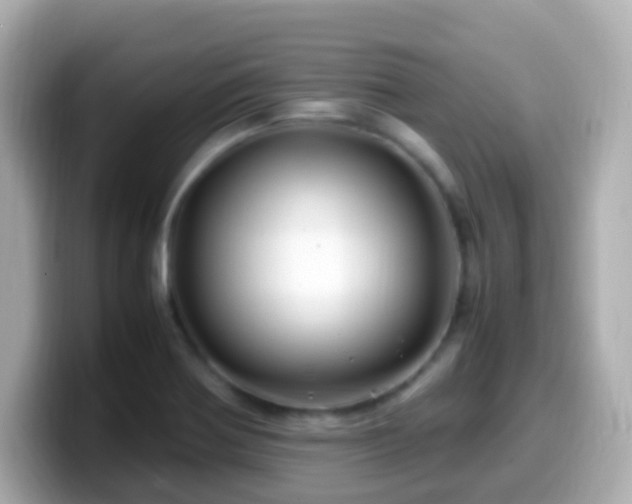 X0000099571370200805231523