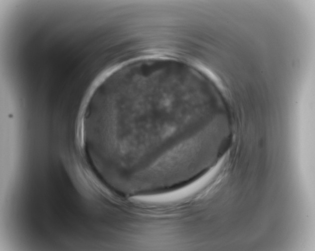 X0000099571371200805231523