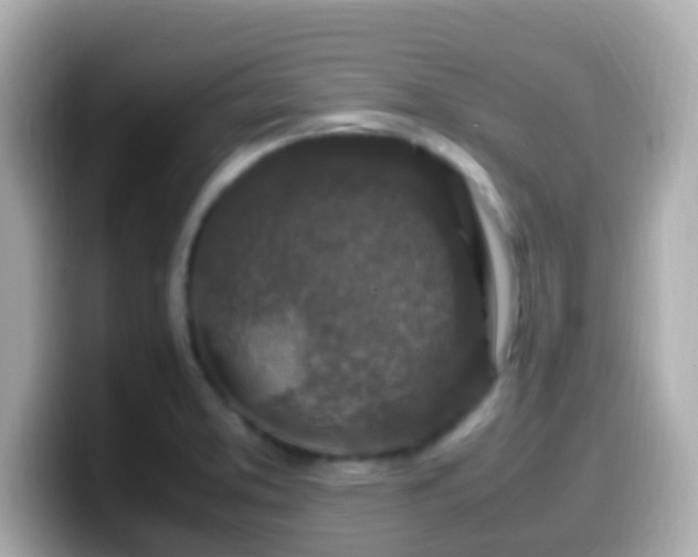 X0000099571373200805231523