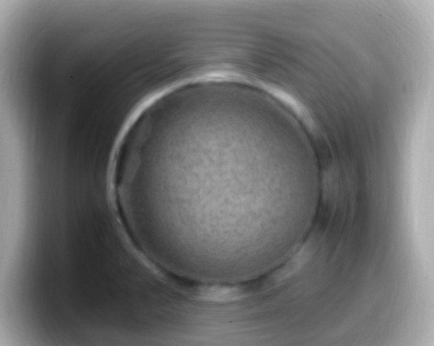 X0000099571374200805231523