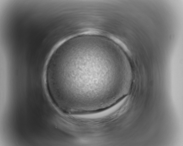 X0000099571375200805231523