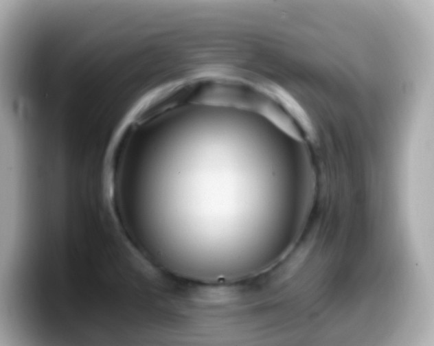 X0000099571376200805231523