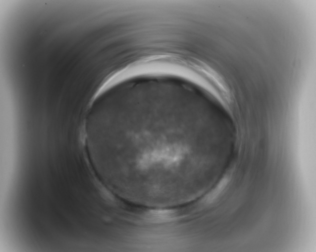 X0000099571377200805231523