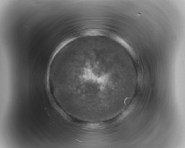 X0000099571378200805231523