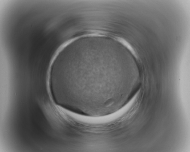 X0000099571379200805231523