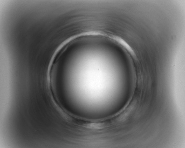 X0000099571380200805231523