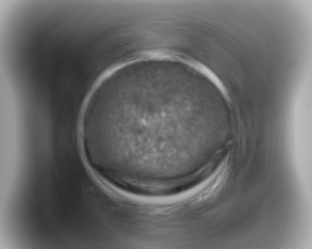 X0000099571381200805231523