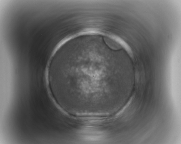 X0000099571382200805231523