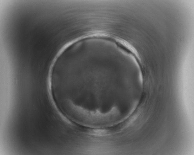 X0000099571383200805231523