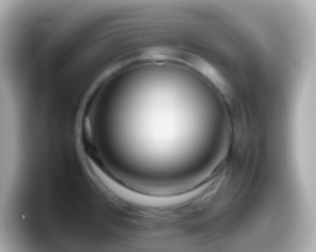 X0000099571384200805231523