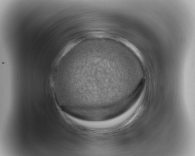 X0000099571385200805231523